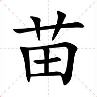 苗的意思|苗：苗的意思/造詞/解釋/注音